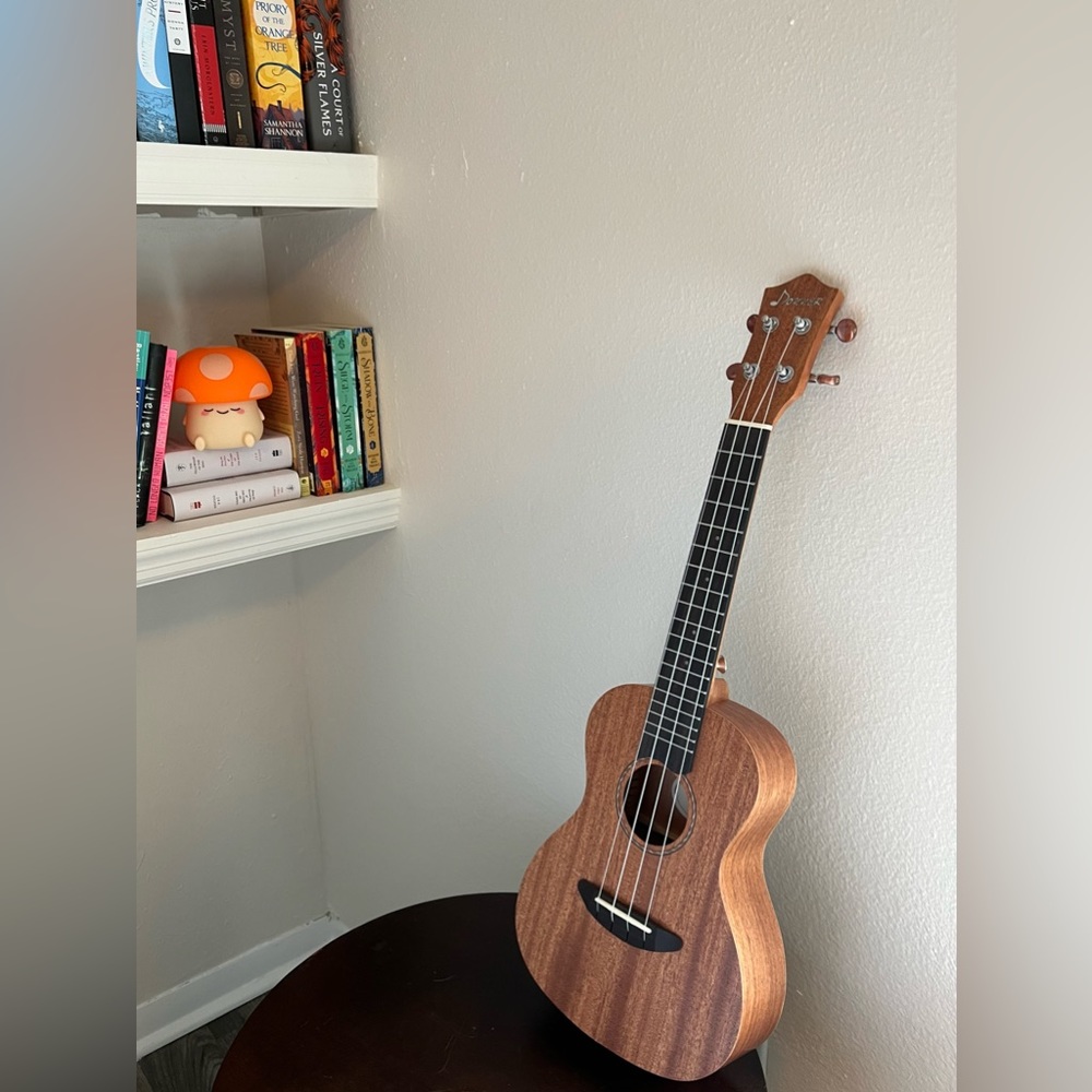 Donner Concert Ukulele | New Never Used